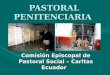 Pastoral penitenciaria resumen_2011