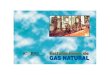 Instalaciones de Gas Natural