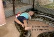 El muchacho y la serpiente