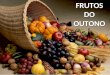 Frutos do outono