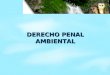 DERECHO PENAL AMBIENTAL VENEZUELA