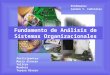 Fundamentos de analisis de sistemas organizacionales