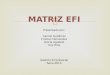 Exposicion matriz efi (3)