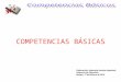competencias basicas_programar y evaluar