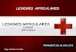 Lesiones Articulares, Musculares Y Tendinosas