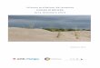 Informe preliminar del projecte Dunes Híbrides