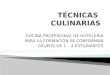 Tecnicas  culinarias (actualizacion)