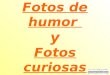 Fotos De Humor Y Curiosas