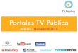 Google analytics - TV Pública - 2010 Noviembre