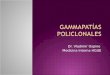 Gammapatias Policlonales