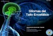 Neurocirugia   gliomas del tallo encefálico