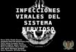 Infecciones virales del sistema nervioso