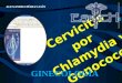Cervicitis por chlamydia y gonococo