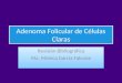 Adenoma folicular variente celulas claras