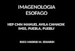 Imagenología de Esofago