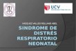 Sindrome de distrés respiratorio neonatal
