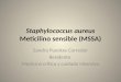 Staphylococcus aureus mssa