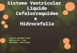 Sistema Ventricular, Liquido Cefalorraquideo LCR, Hidrocefalia
