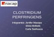 Clostridium Perfringens Diapo