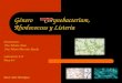 Corinebacterium, rhodococcus y listeria
