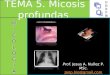 Clase 5  micosis profundas sistemicas