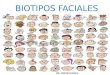 Biotipos faciales  i