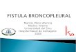 Fistula Broncpleural