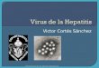 19.  Virus de la Hepatitis