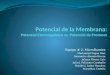 Presentación Potencial de Membrana  Potencial Electroquímico y Potencial de Protón