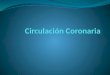 Circulación coronaria