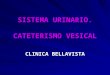 cateterismo vesical protocolo Clinica Belavista ESE Antonio Nariño CALI
