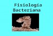 5. fisiología y genética  bacteriana