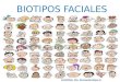 Biotipos faciales