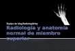 Radiología de Miembro Superior