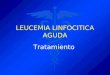 Leucemia Linfocitica Cronica B