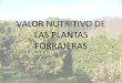Valor nutritivo de_las_plantas_forrajeras
