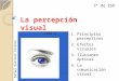 La percepción visual y lectura de imágenes