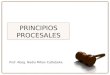 Principios procesales en el proceso civil paraguayo