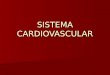Sistema cardiovascular.ppt fleming 5to sec 2010