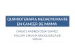 Quimioterapia neoadyuvante en cancer de mama