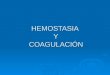 Generalidades de la hemostasia