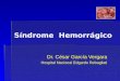 Clase 8 bsindrome hemorragico