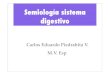 4.semiologia sistema digestivo 1.key