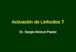 Clase 02 Urp Activacion De Linfocitos T 2006 2