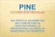 Presentación Pine