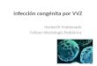 Infección congénita por Virus Varicela Zoster