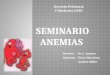 Presentacion anemias