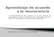 Aprendizaje de acuerdo a la neurociencia