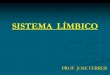 El Sistema  Límbico
