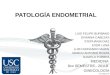 Patologia endometrial